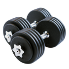 Body Solid Tools Adjustable Dumbbell Set - BSTADBPR