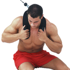 Body Solid AB Crunch Harness