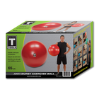 Body Solid Tools BSTSB65 Stability Ball 65