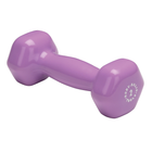 Body Solid Tools BSTVDS110 Vinyl Dumbbells Set (1-10 Lb)