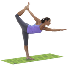 Body Solid BSTFITPACK Fitness Pack
