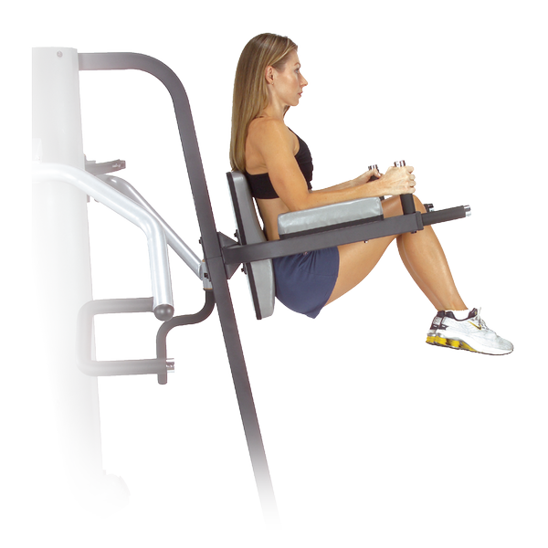 Body Solid GKR9 Vertical Knee Raise and Dip Station for G9S