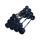 Body Solid Tools SBB Fixed-Weight Straight Barbells
