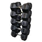 Body Solid SDRS650 Rubber Coated Hex Dumbbell Set 55 to 75 Lb