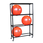 Body Solid SSBR100 Stability Ball Rack