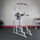Body Solid SVKR1000 Pro ClubLine Vertical Knee Raise