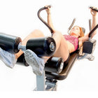The ABS Company Abs Bench X2