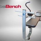 The ABS Company Abs Bench