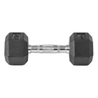 LifeLine 10LB Hex Rubber Dumbbell