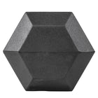 LifeLine 40LB Hex Rubber Dumbbell