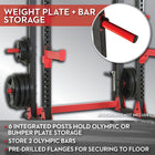 Lifeline Pro Half Rack