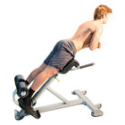 The ABS Company Lumbar X