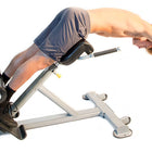 The ABS Company Lumbar X