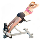 The ABS Company Lumbar X