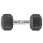 LifeLine 20LB Hex Rubber Dumbbell