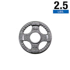 Body Solid OPT Gray Grip Cast Iron 2" Olympic Plates 2.5lbs