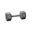 20 lb. Iron Hex Dumbbell
