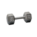 25 lb. Iron Hex Dumbbell