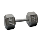 40 lb. Iron Hex Dumbbell