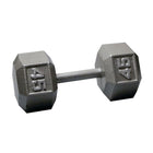 45 lb. Iron Hex Dumbbell
