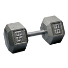 65 lb. Iron Hex Dumbbell