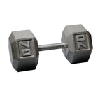 70 lb. Iron Hex Dumbbell