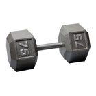 75 lb. Iron Hex Dumbbell