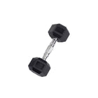 10 lb. Rubber Hex Dumbbell