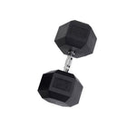 95 lb. Rubber Hex Dumbbell