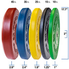 Set of five weight plates with different colors and sizes, labeled with weight capacities.