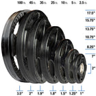 Body Solid ORT Rubber Grip 2" Olympic Plates 120lb