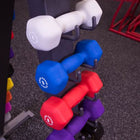 Body Solid 12 Pairs Dumbbells 1-15lbs. with GDR24 Rack