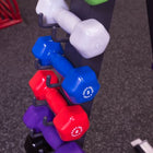Body Solid 12 Pairs Dumbbells 1-15lbs. with GDR24 Rack